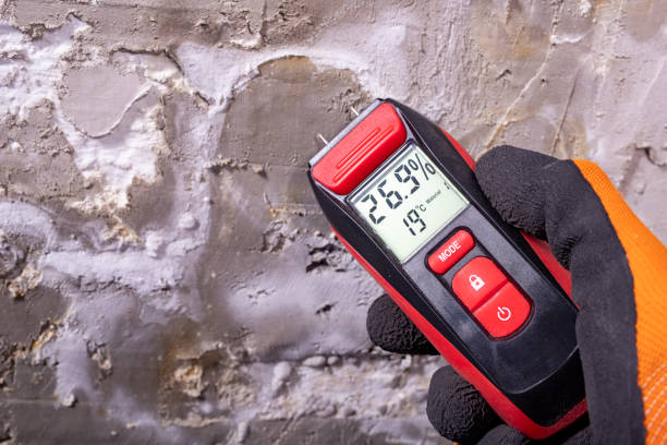 Best Crawl Space Mold Remediation in Rosaryville, MD