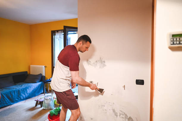 Best Attic Mold Remediation in Rosaryville, MD